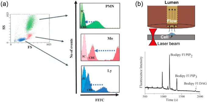 Single-cell enzyme assay 1