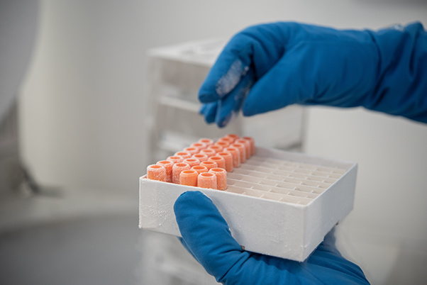 Insect and mammalian cell banks at Profacgen