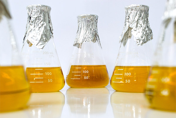 Microbial cell banks at Profacgen