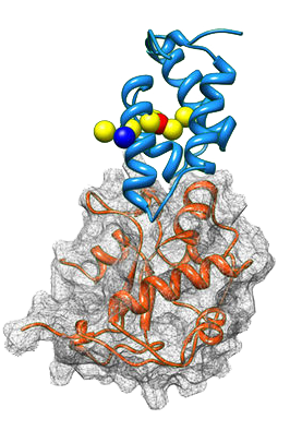 chemical crosslinking-1