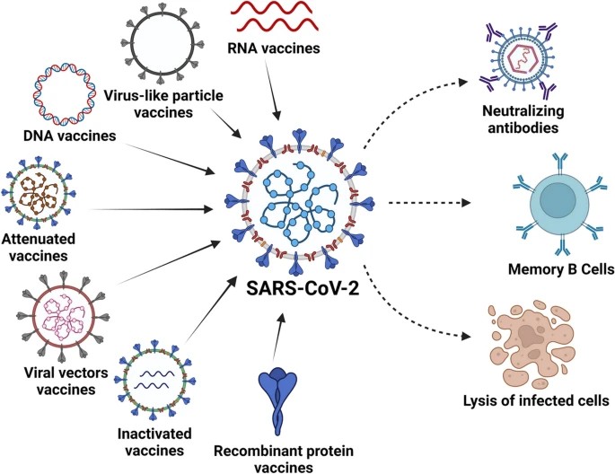 An overview of current drugs and prophylactic vaccines for coronavirus disease 2019