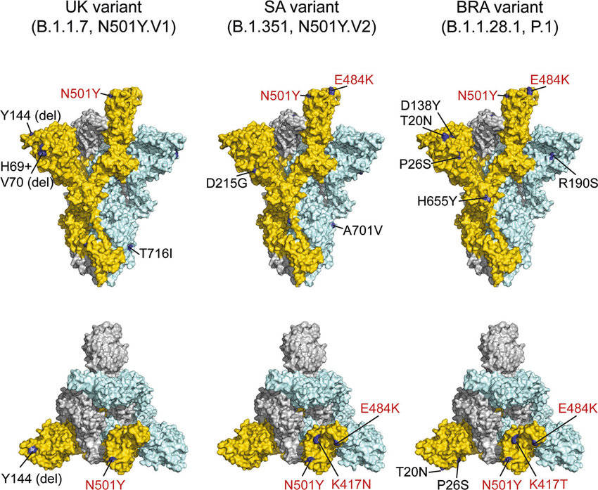 Profiles of current COVID-19 vaccines