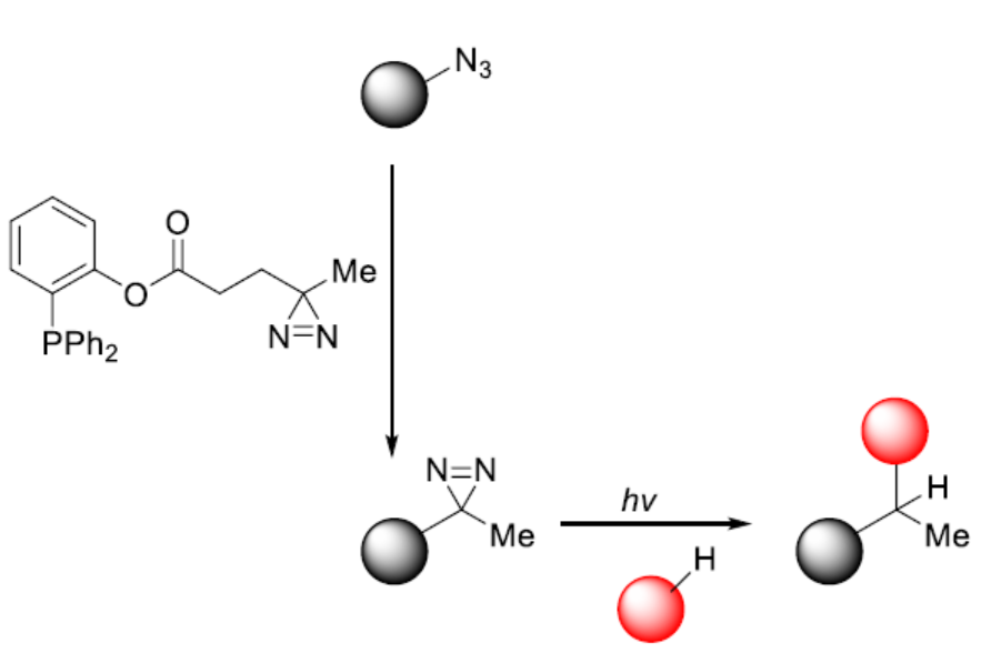 Diazirine-triphenylphosphine photocrosslinker