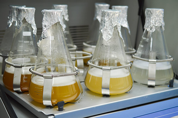 Mammalian and microbial protein production capabilities at Profacgen