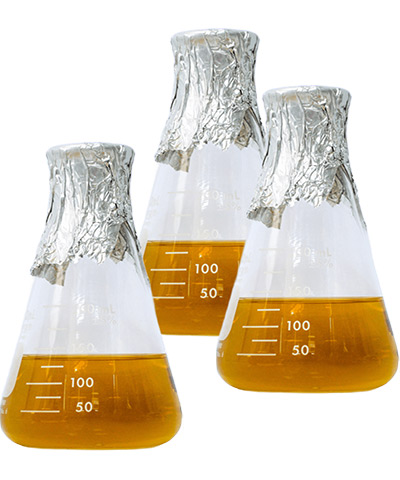 Small-scale clinical trial batch manufacturing at Profacgen