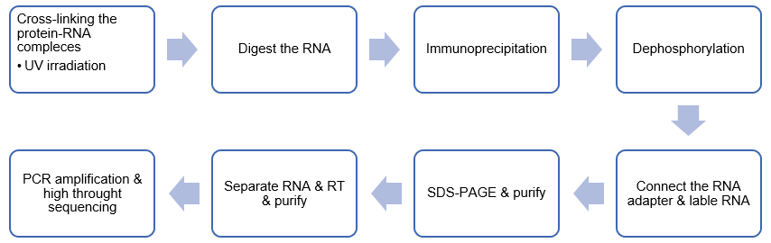 iCLIP-seq