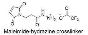   maleimide-hydrazine crosslinker