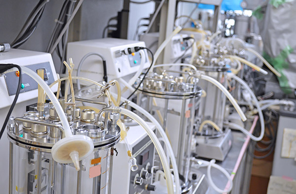 Microbial fermentation facility at Profacgen