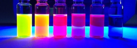 protein fluorophore-2