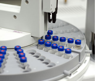 Protein Expression