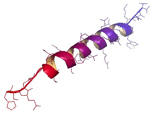 Custom Peptide and Compound Synthesis Service