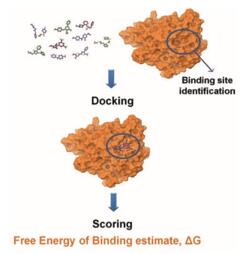 Docking and scoring in structure-based virtual screening.